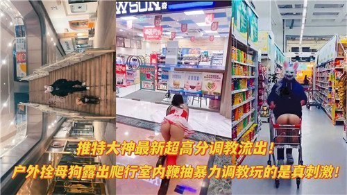 【超高分流出】推特大神重口调教：户外栓母狗爬行露出，室内暴力鞭抽母狗奴！