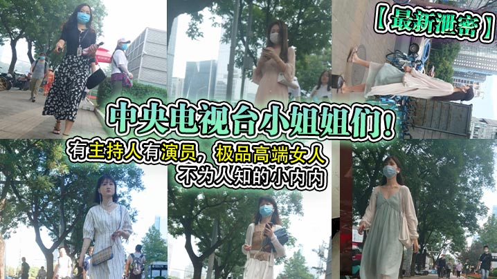 [独家泄密] 央视女神私密档案 极品主持人演员骚穴内射